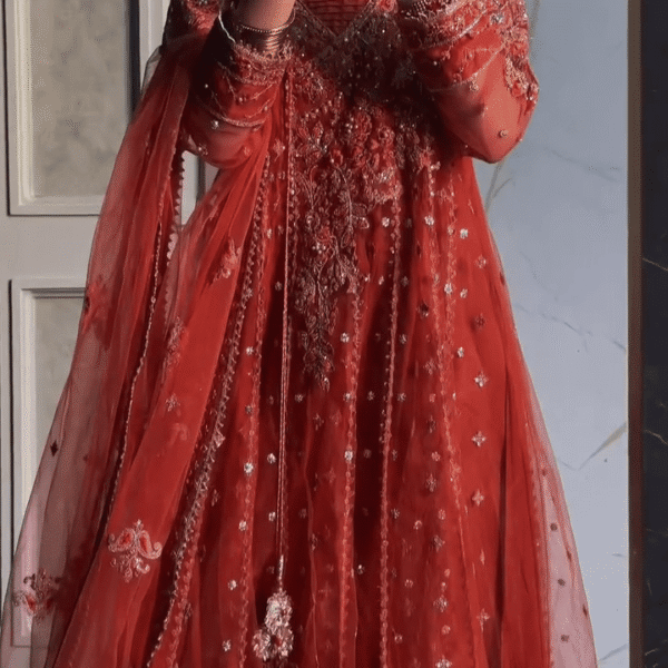 โค๏ธ๐ธ Luxury Party Wear in Bold Red ๐โจ